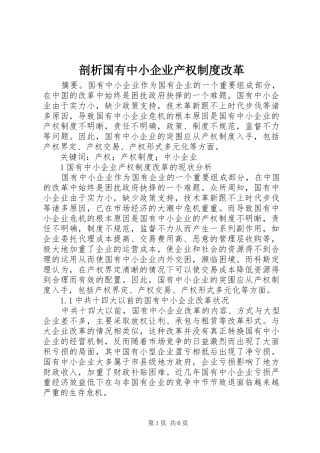 剖析国有中小企业产权制度改革