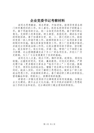 企业党委书记考察材料