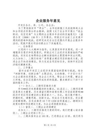 企业服务年意见