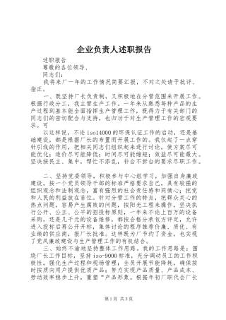 企业负责人述职报告