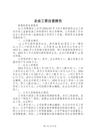 企业工资自查报告