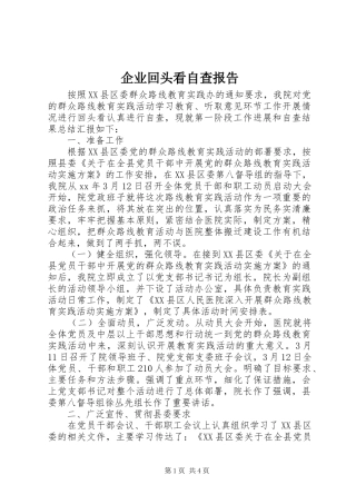 企业回头看自查报告