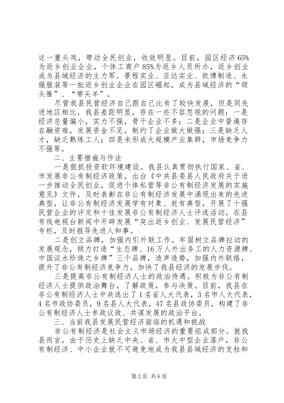 企业民营经济发展报告_第2页