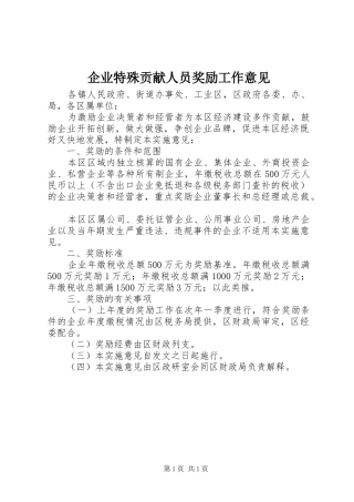 企业特殊贡献人员奖励工作意见