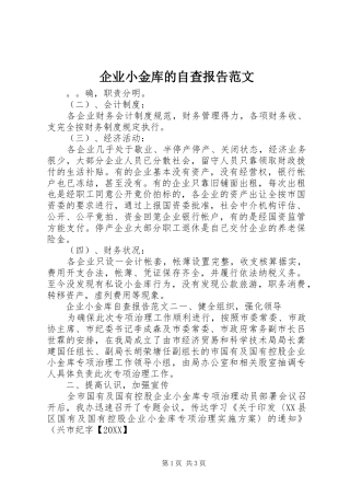 企业小金库的自查报告范文