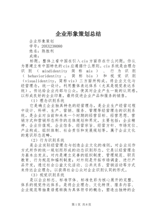 企业形象策划总结