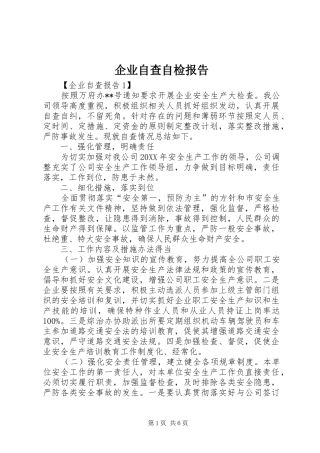 企业自查自检报告