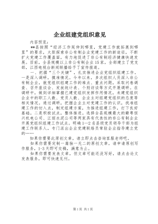 企业组建党组织意见