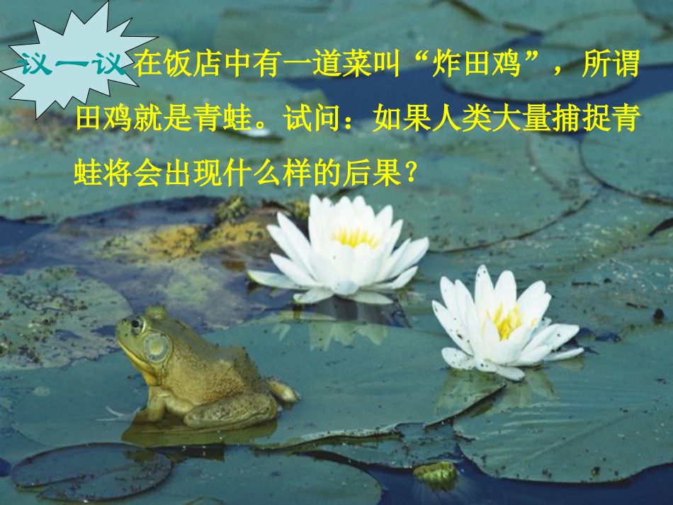 1.2生物与环境的相互影响(课堂教学版)2_第3页