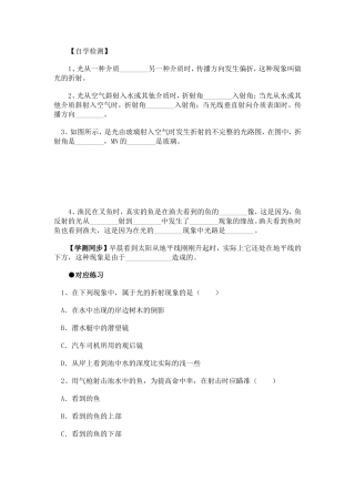 【自学检测】初中物理光的折射和反射