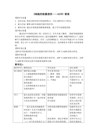 《细胞的能量通货——ATP》教案