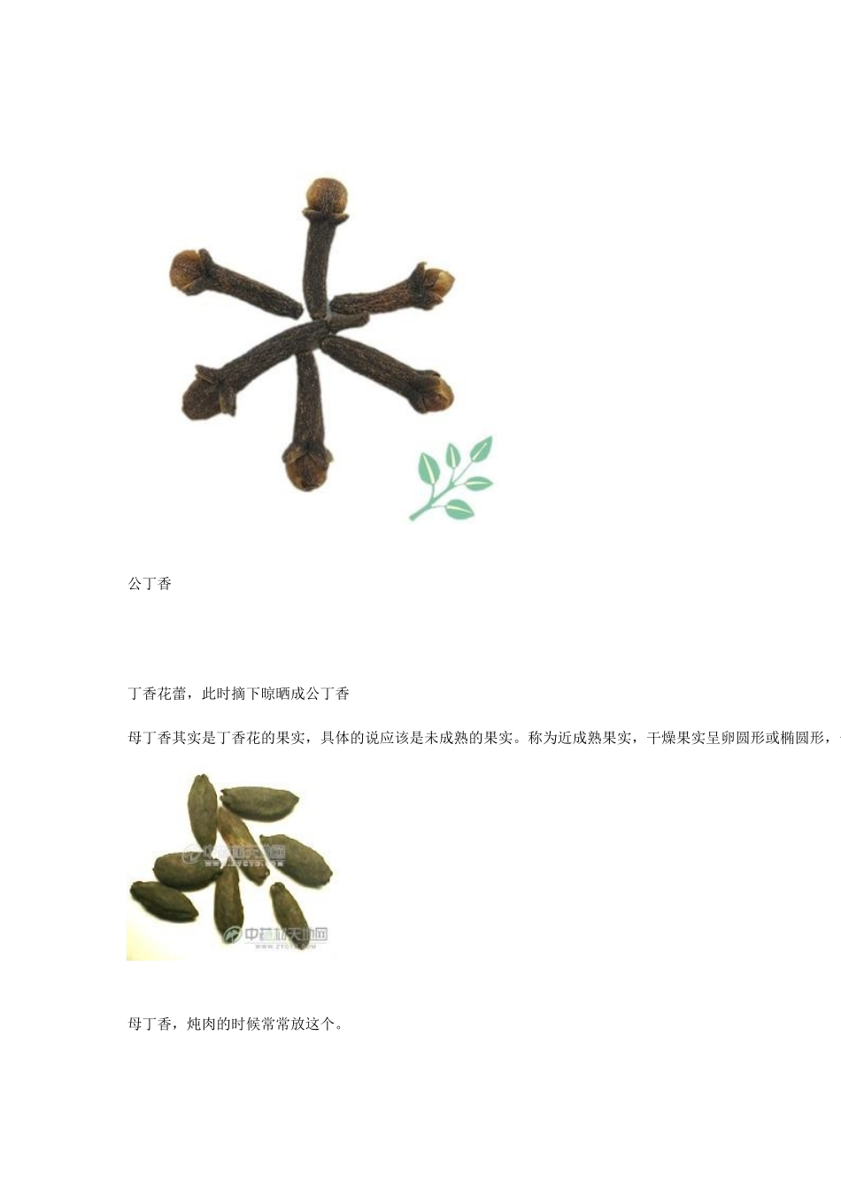 丁香知识点梳理汇总_第2页