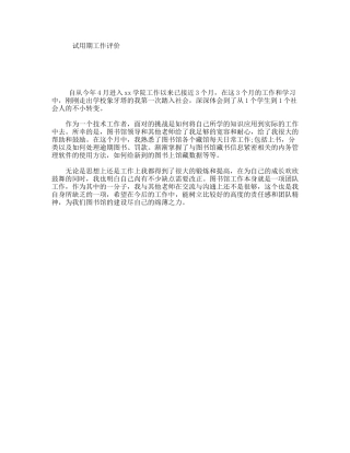 试用期工作评价