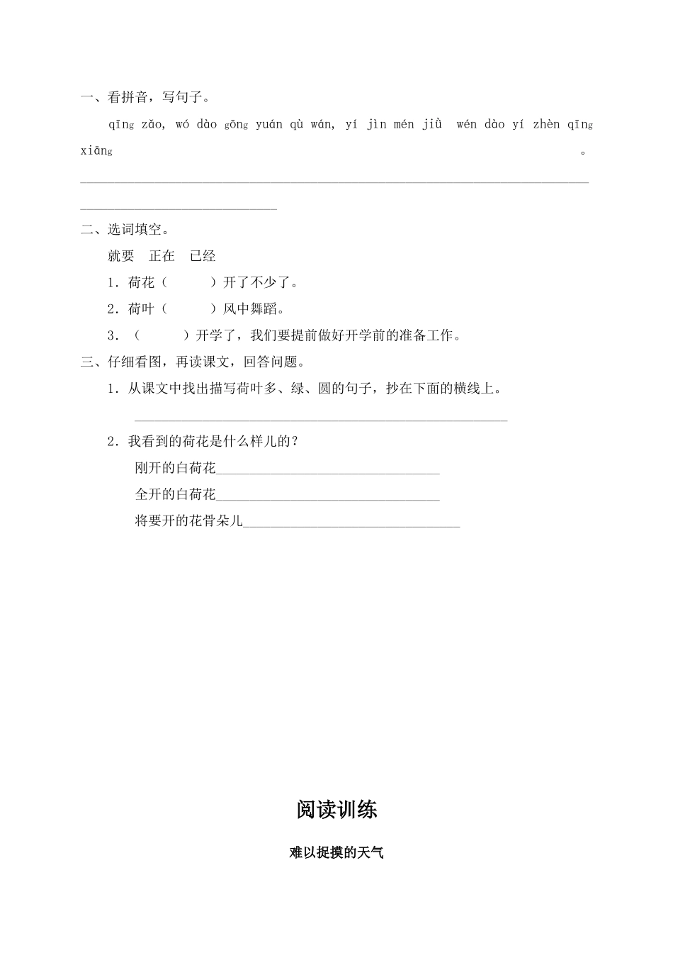《荷花》同步练习_第2页