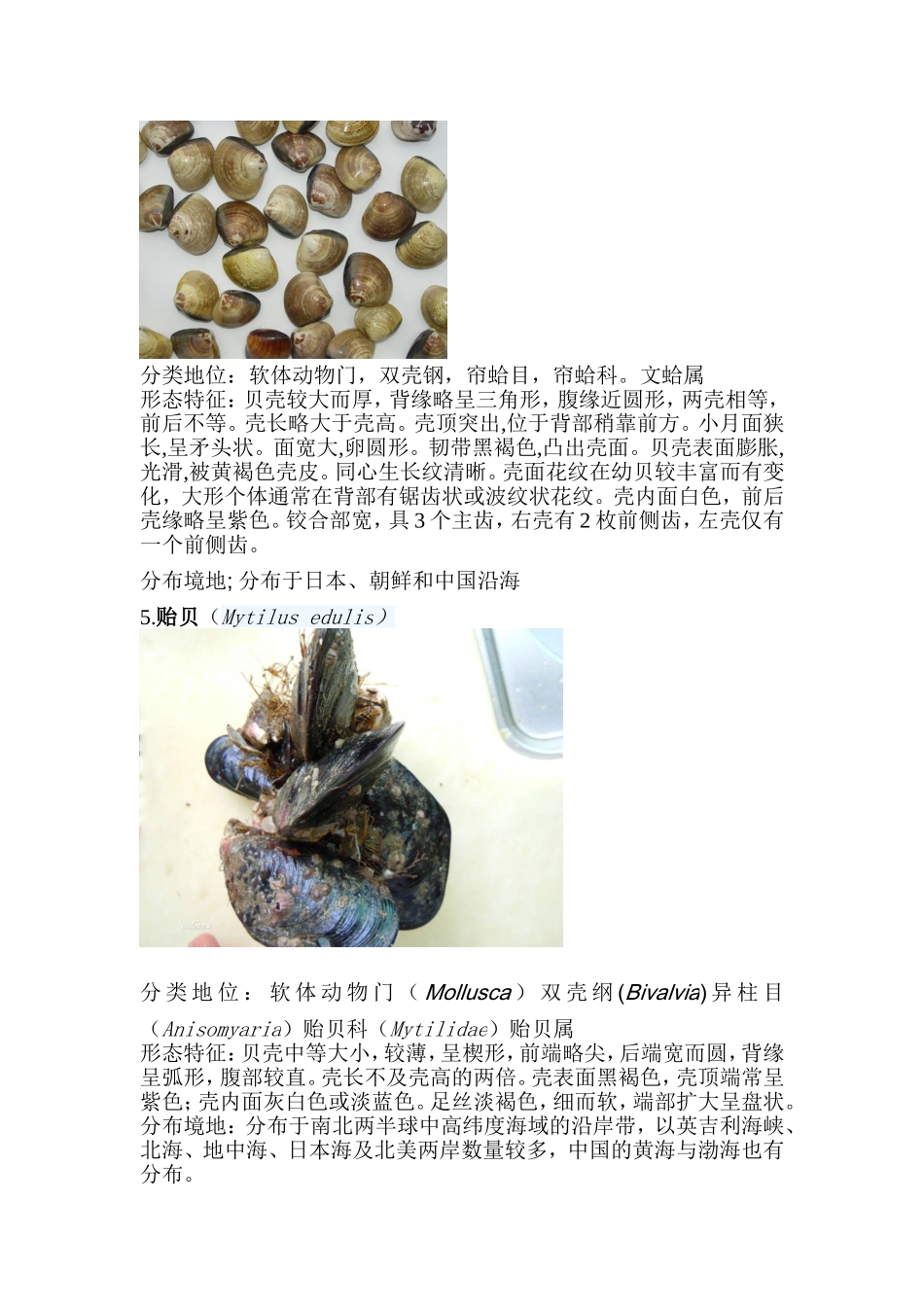 《100种海洋生物》_第3页