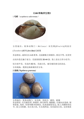 《100种海洋生物》