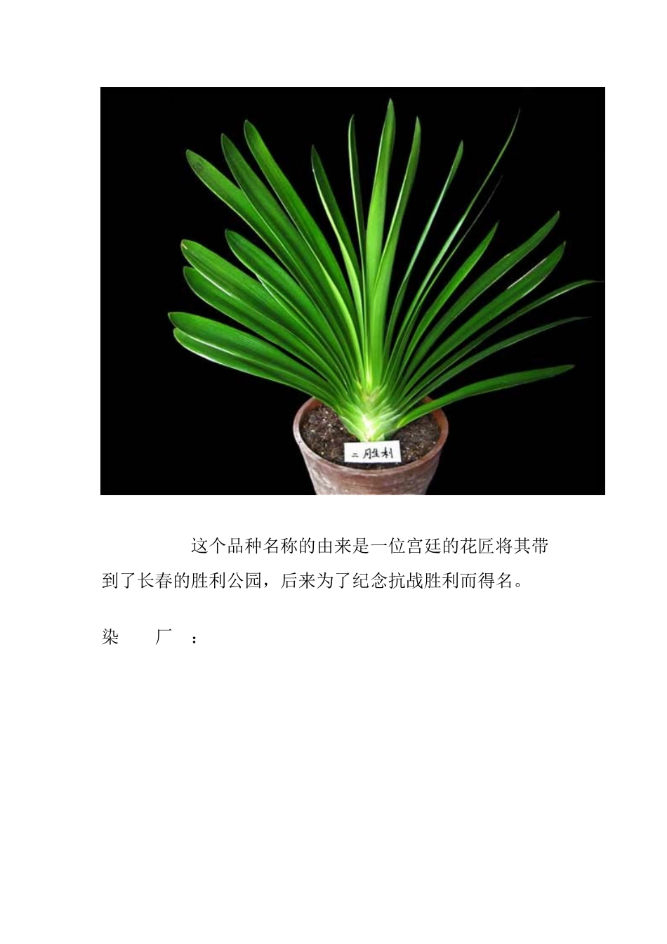 君子兰知识点梳理汇总_第2页