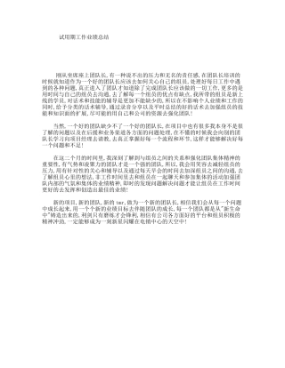 试用期工作业绩总结