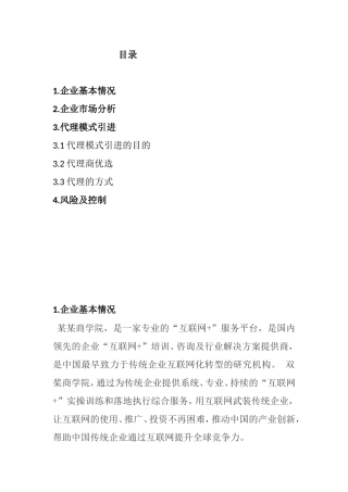 《某某代理体系商业策划书》