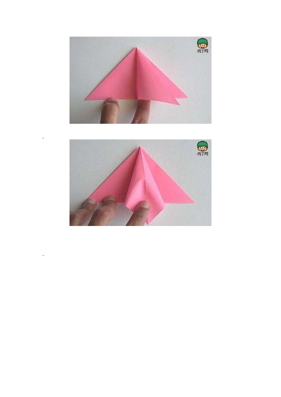 百合花知识点梳理_第2页