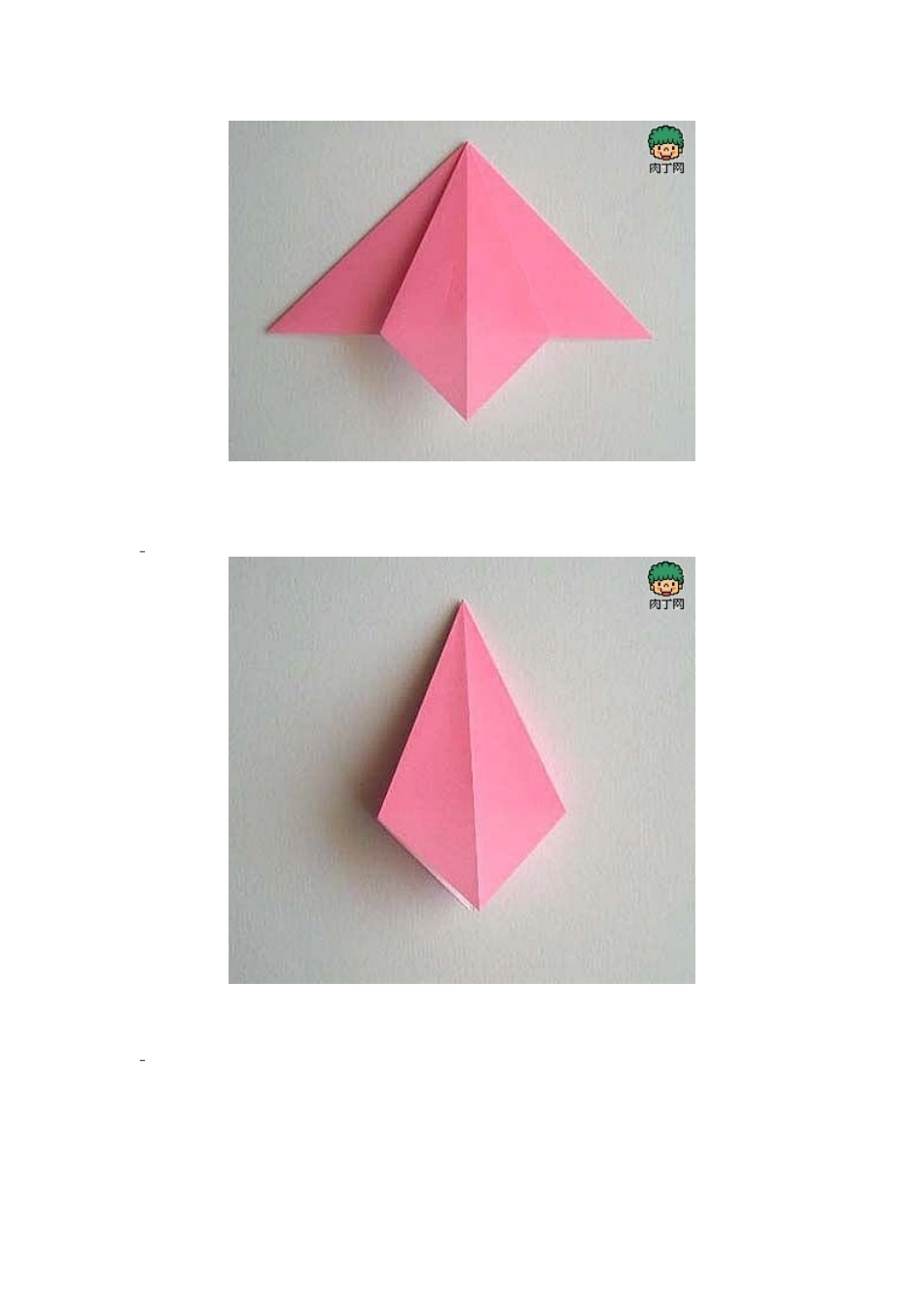 百合花知识点梳理_第3页