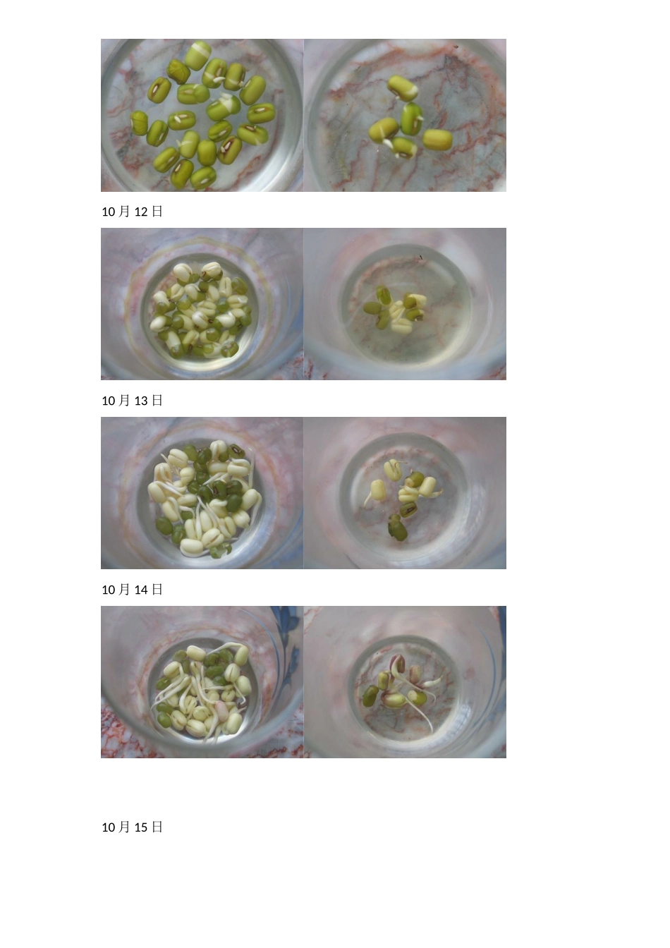 影响绿豆芽生长情况的条件研究 教学实践_第2页