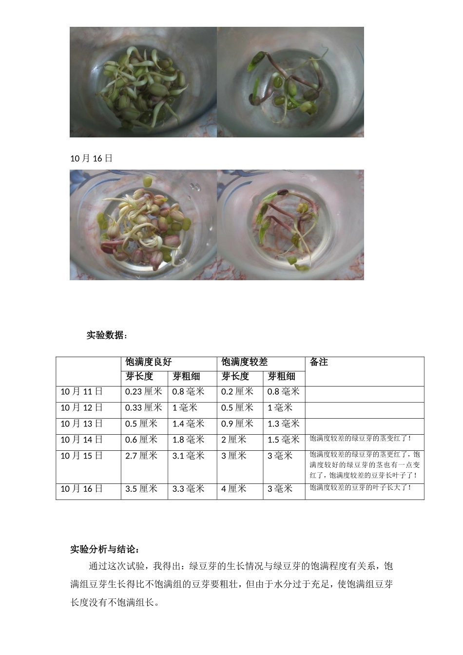 影响绿豆芽生长情况的条件研究 教学实践_第3页