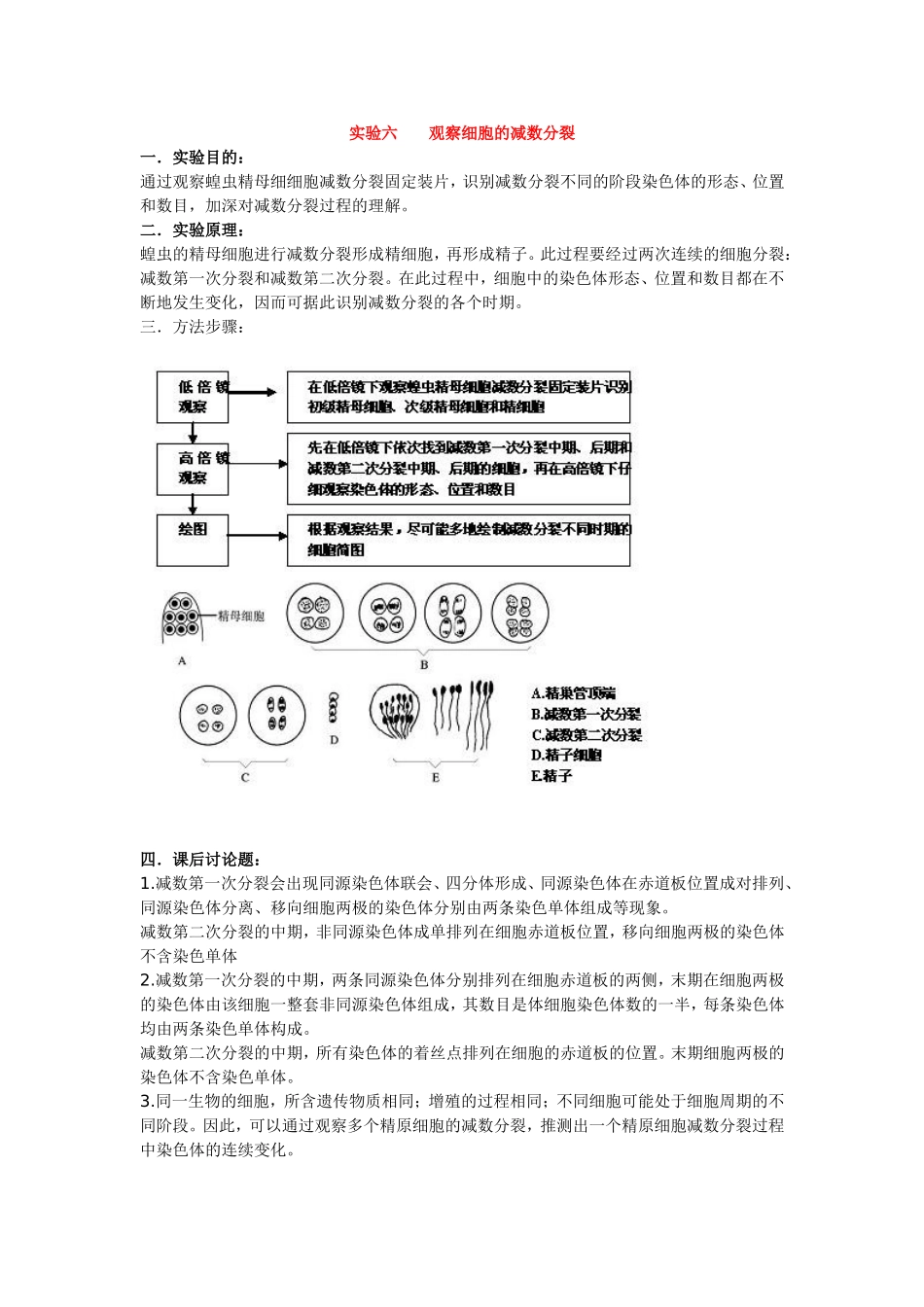 实验六 观察细胞的减数分裂_第1页