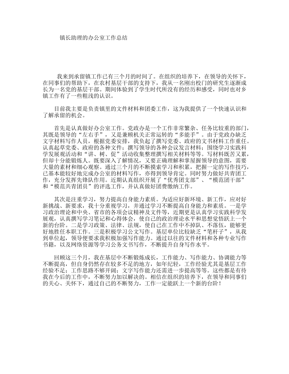 镇长助理的办公室工作总结_第1页