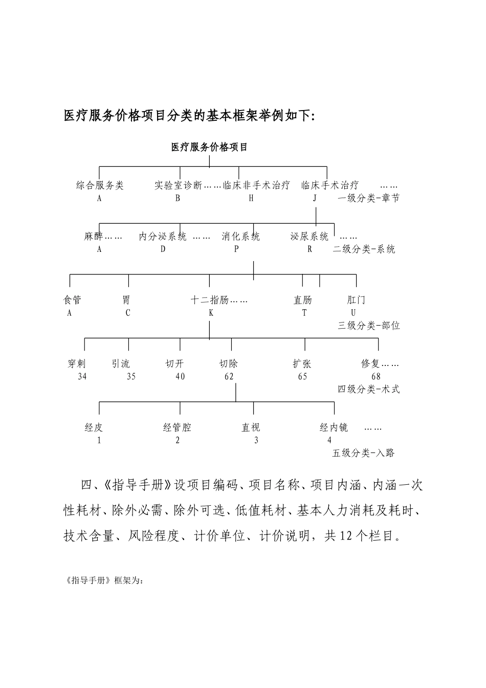 《全国医疗服务价格项目规范》2010版定价指导手册_第3页
