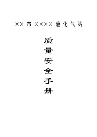 市液化气站质量安全手册