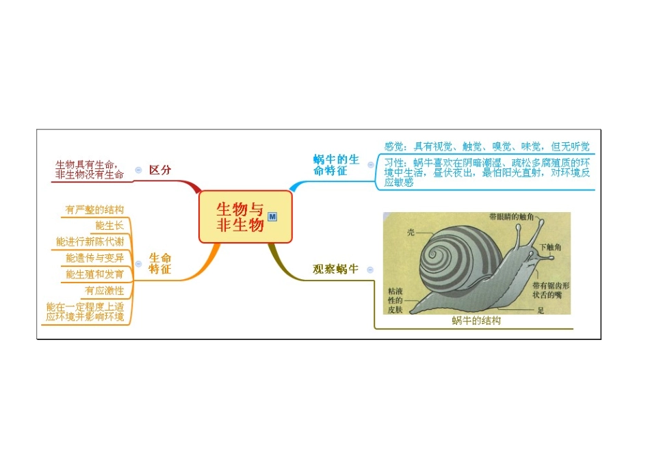 第2章  观察生物思维导图目录_第2页