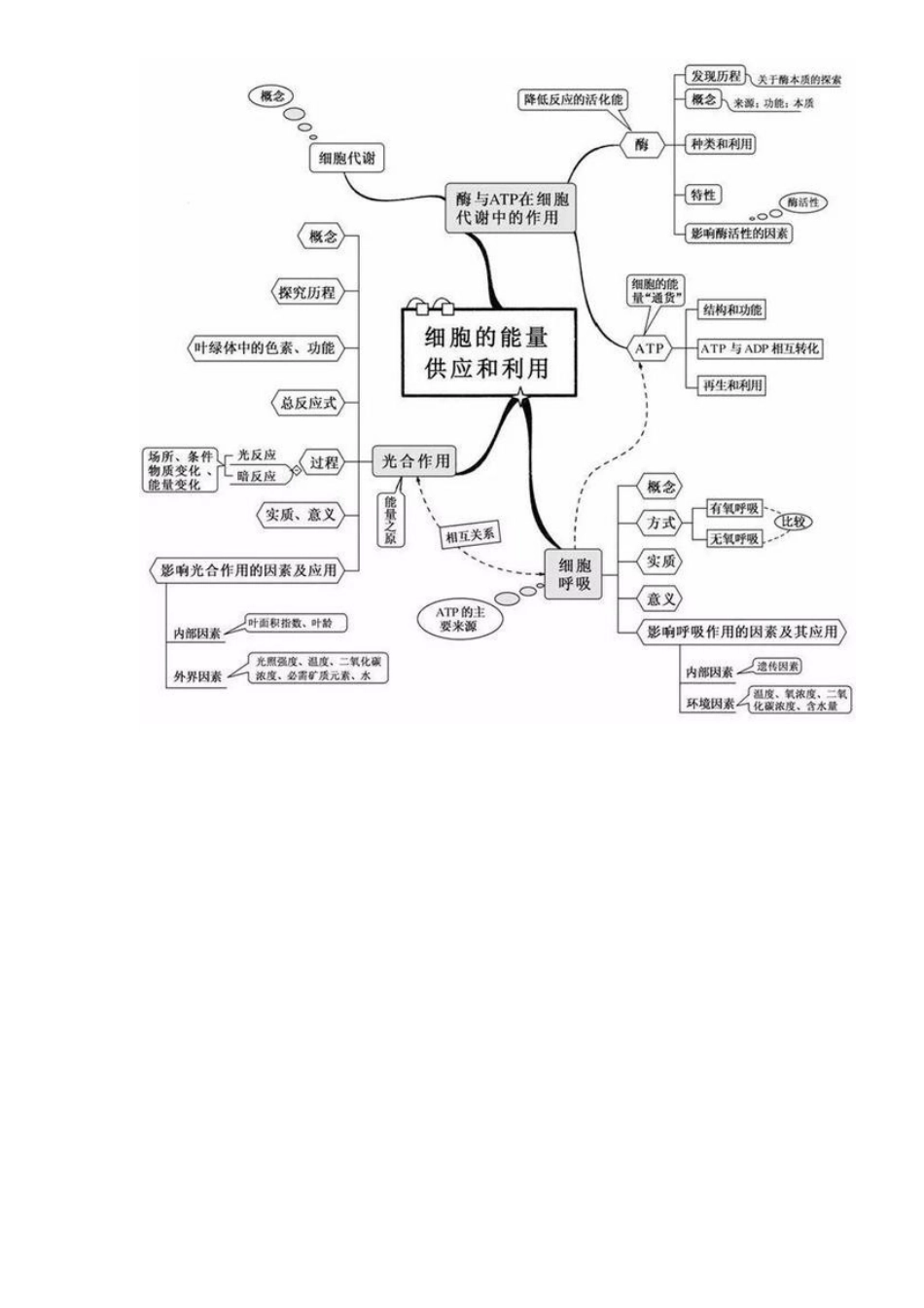 高中生物难点梳理汇总_第3页