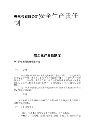 天然气有限公司安全生产责任制