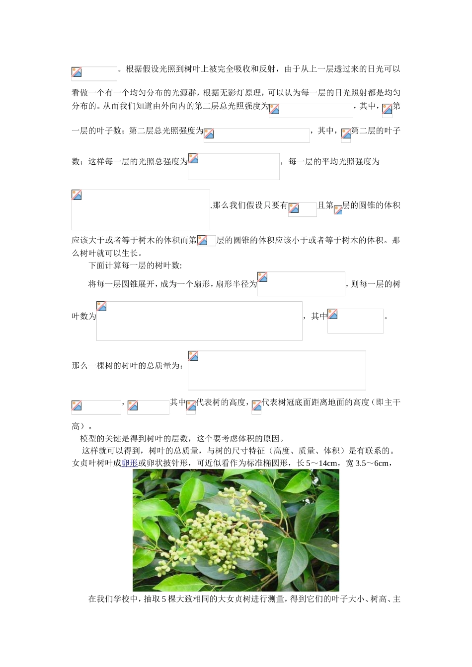 计算一棵树树叶的数量测试题_第2页