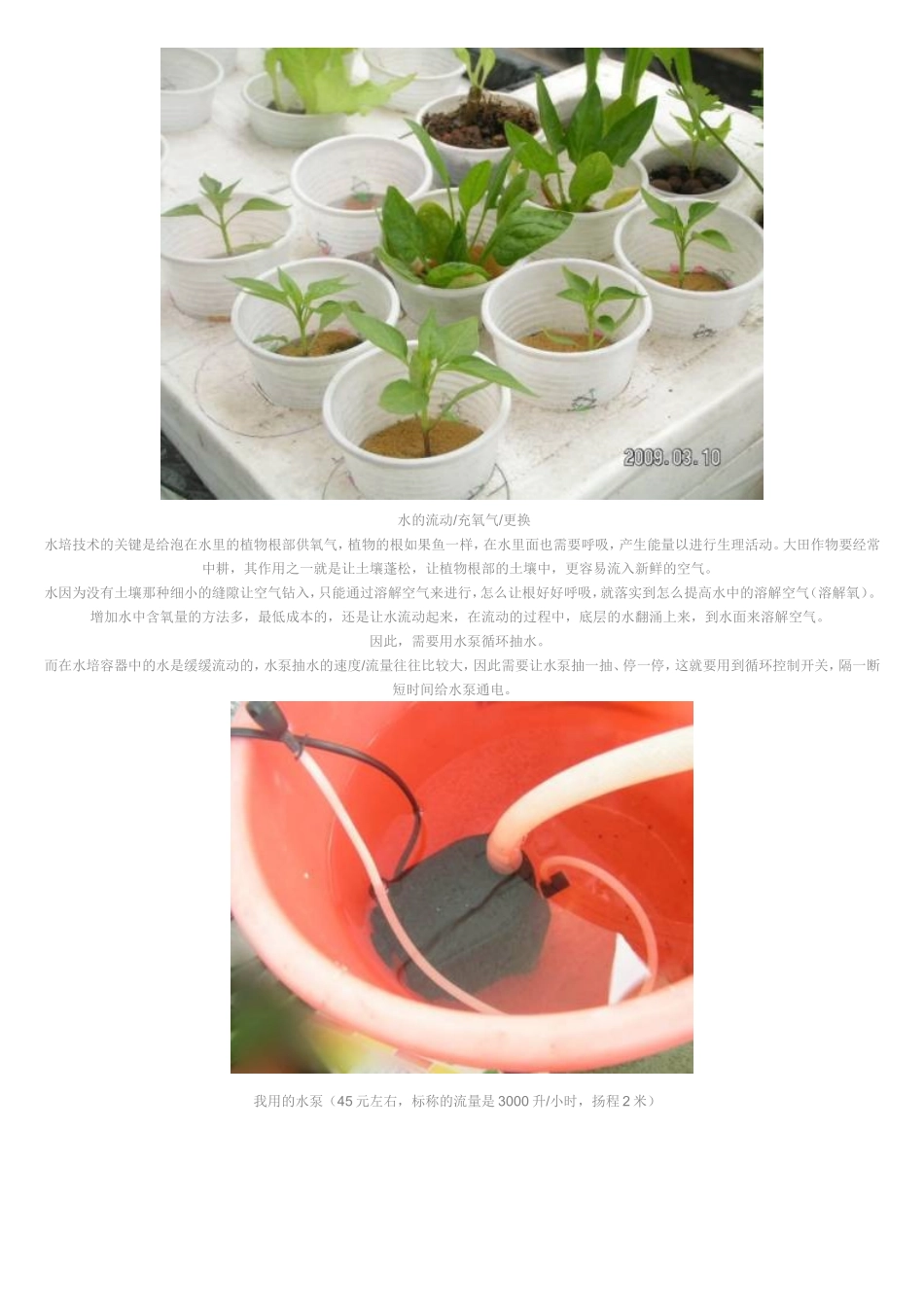 建造水培阳台菜园的得失_第3页