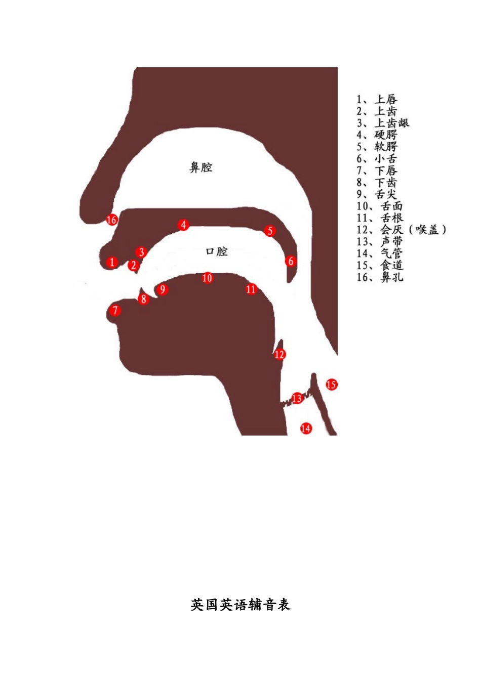 英语单词重音知识点梳理汇总_第3页