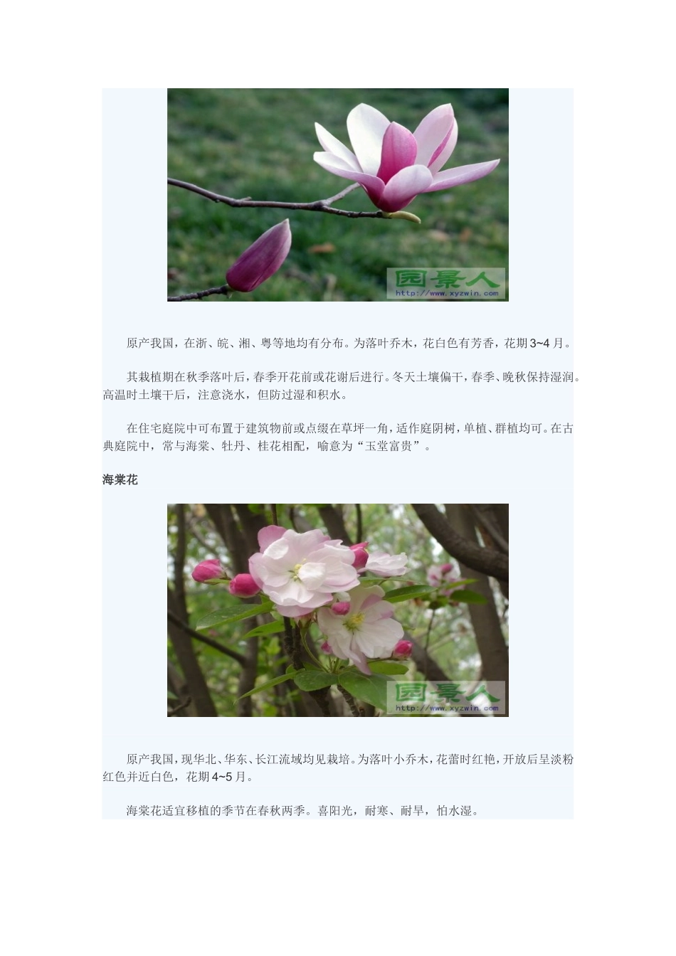 北方庭院房屋植物配置常用花草树木_第2页