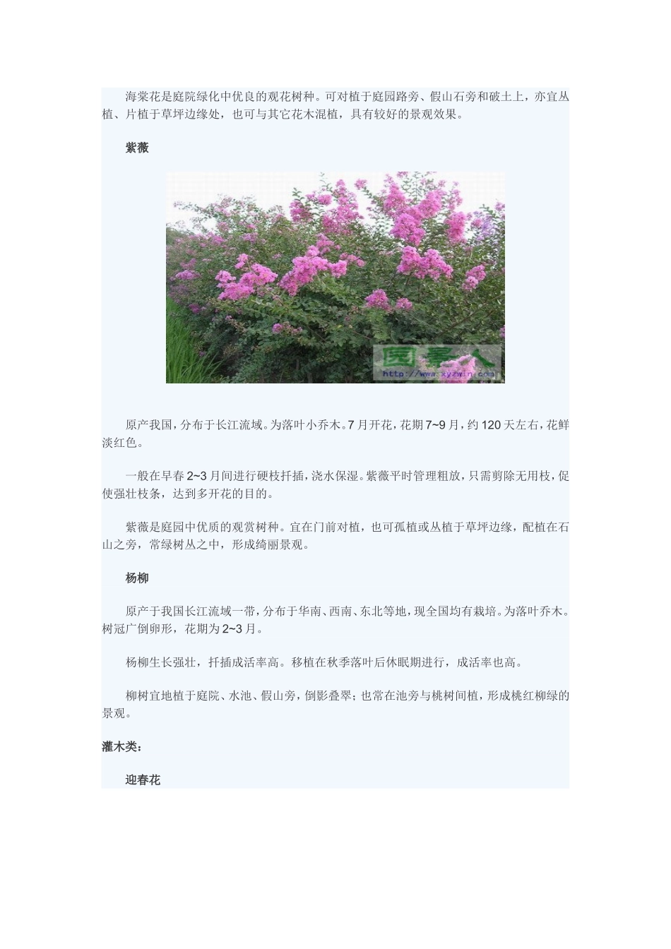 北方庭院房屋植物配置常用花草树木_第3页