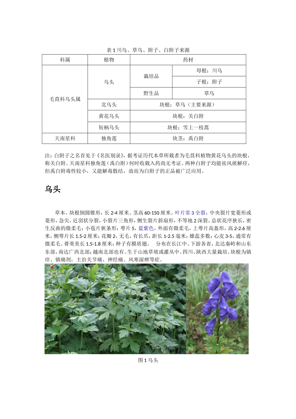 川乌、草乌、附子和白附子鉴别_第2页