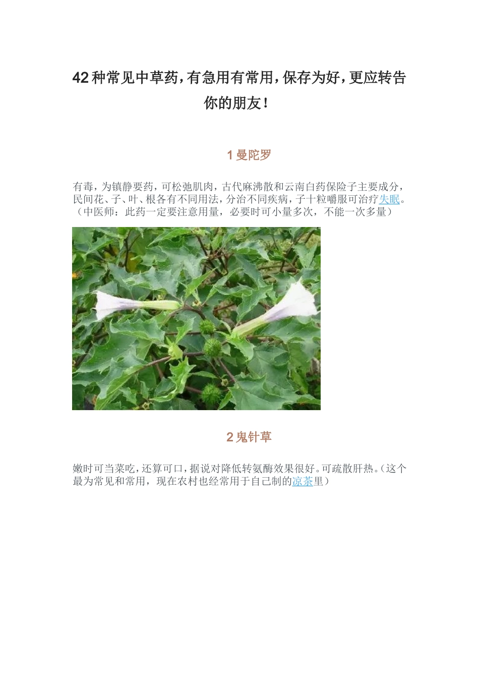 42种常见中草药_第1页
