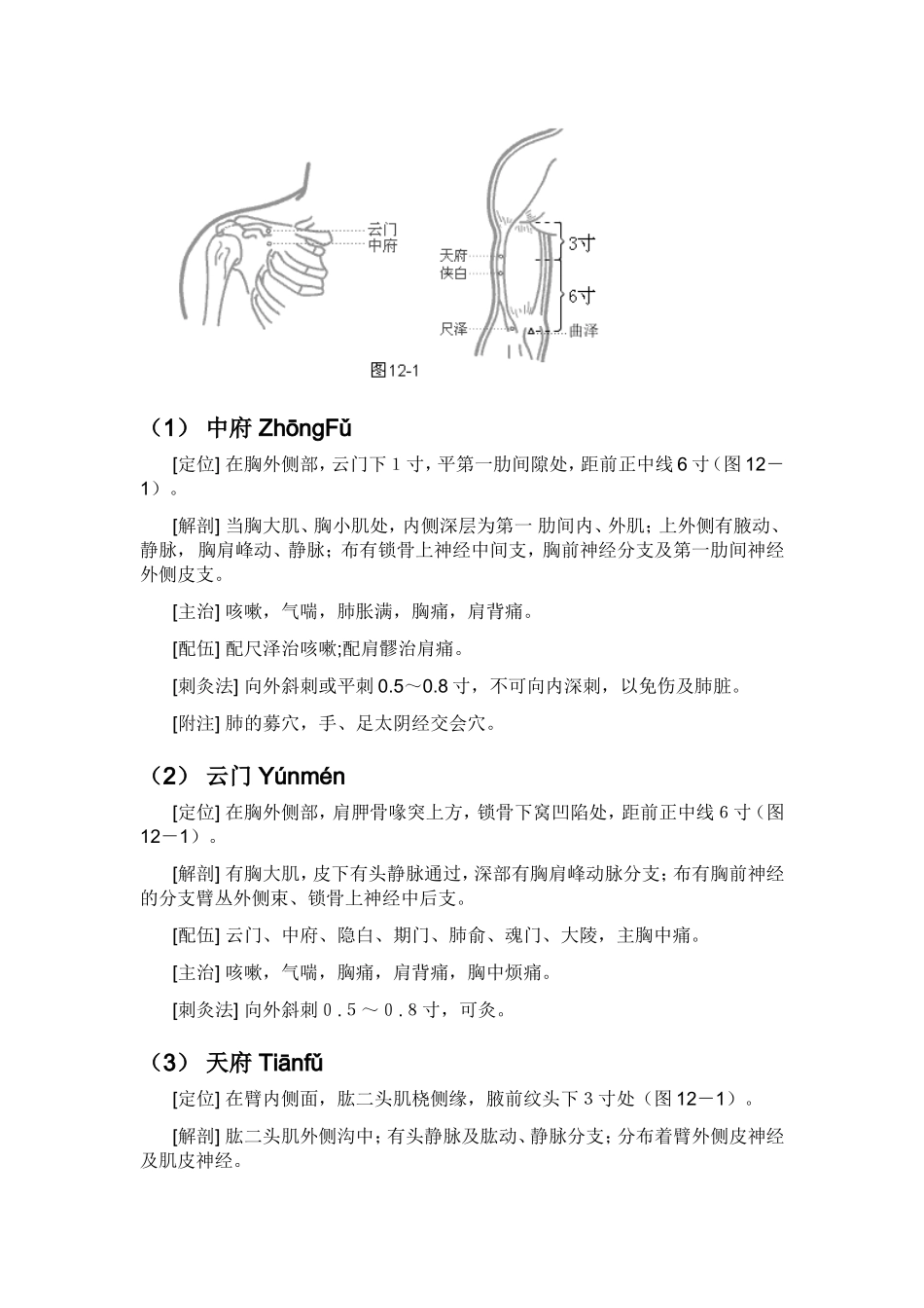 十二经脉 知识点梳理汇总_第2页