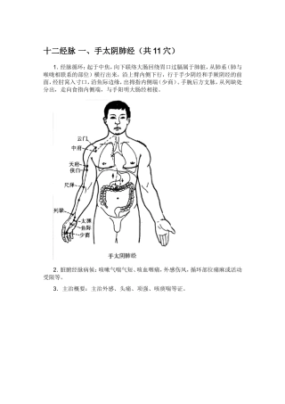 十二经脉 知识点梳理汇总