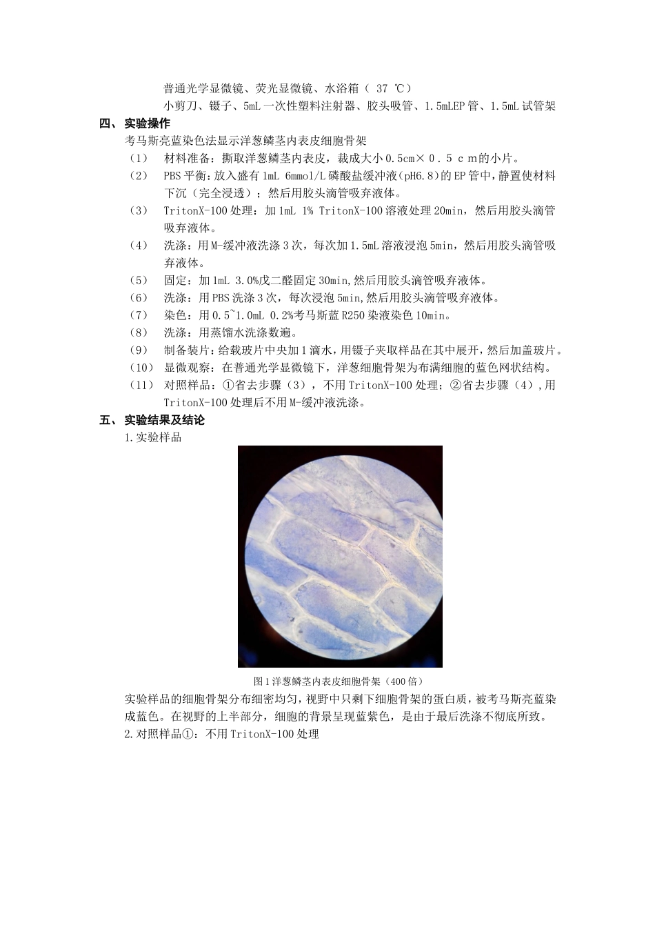 实验4 细胞骨架的显示及观察_第3页