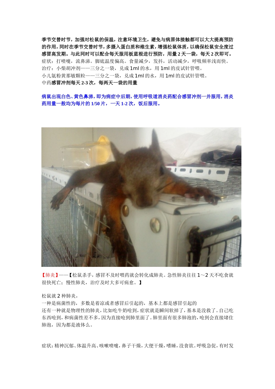 松鼠常见疾病及治疗方案_第3页