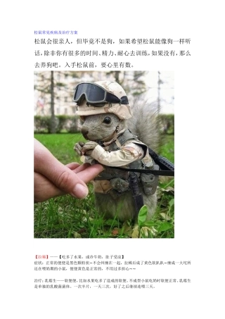 松鼠常见疾病及治疗方案