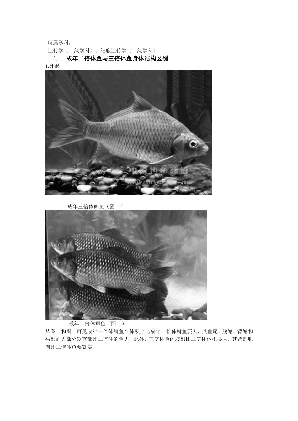 鱼类三倍体育种与二倍体育种的区别 生物技术专业_第2页