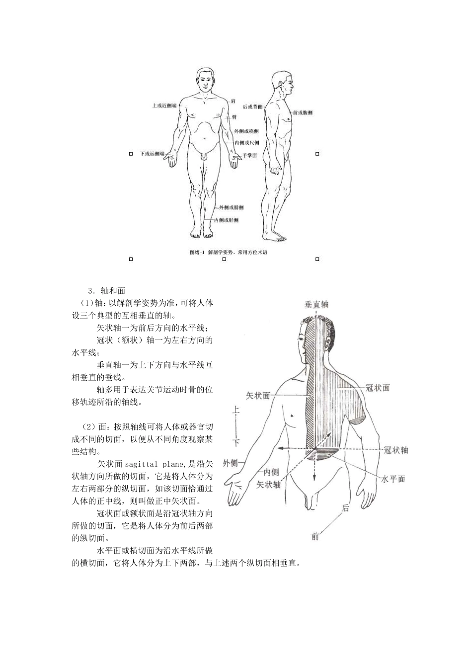 骨科系列产品――解剖基础 辅助临床治疗骨科疾病_第2页