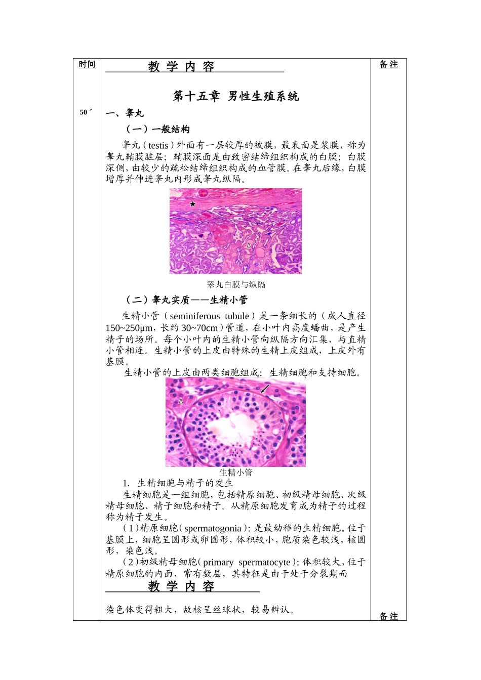 组织胚胎学教案_第2页
