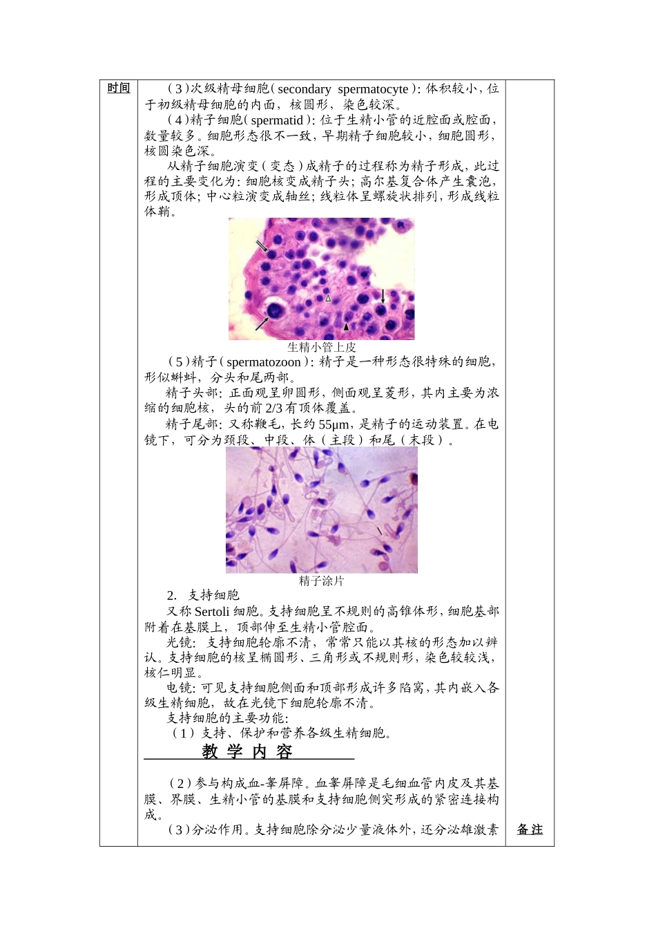 组织胚胎学教案_第3页
